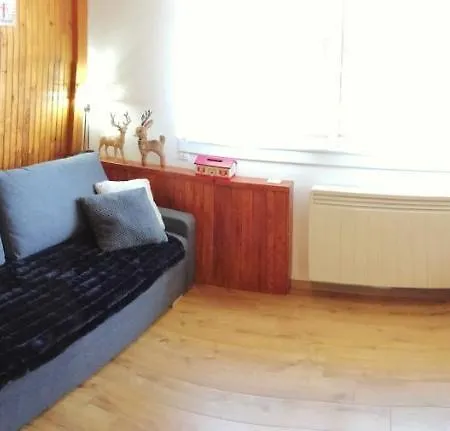 Grand Studio Neuf 31m² 2 Alpes Plein Centre Apartment *